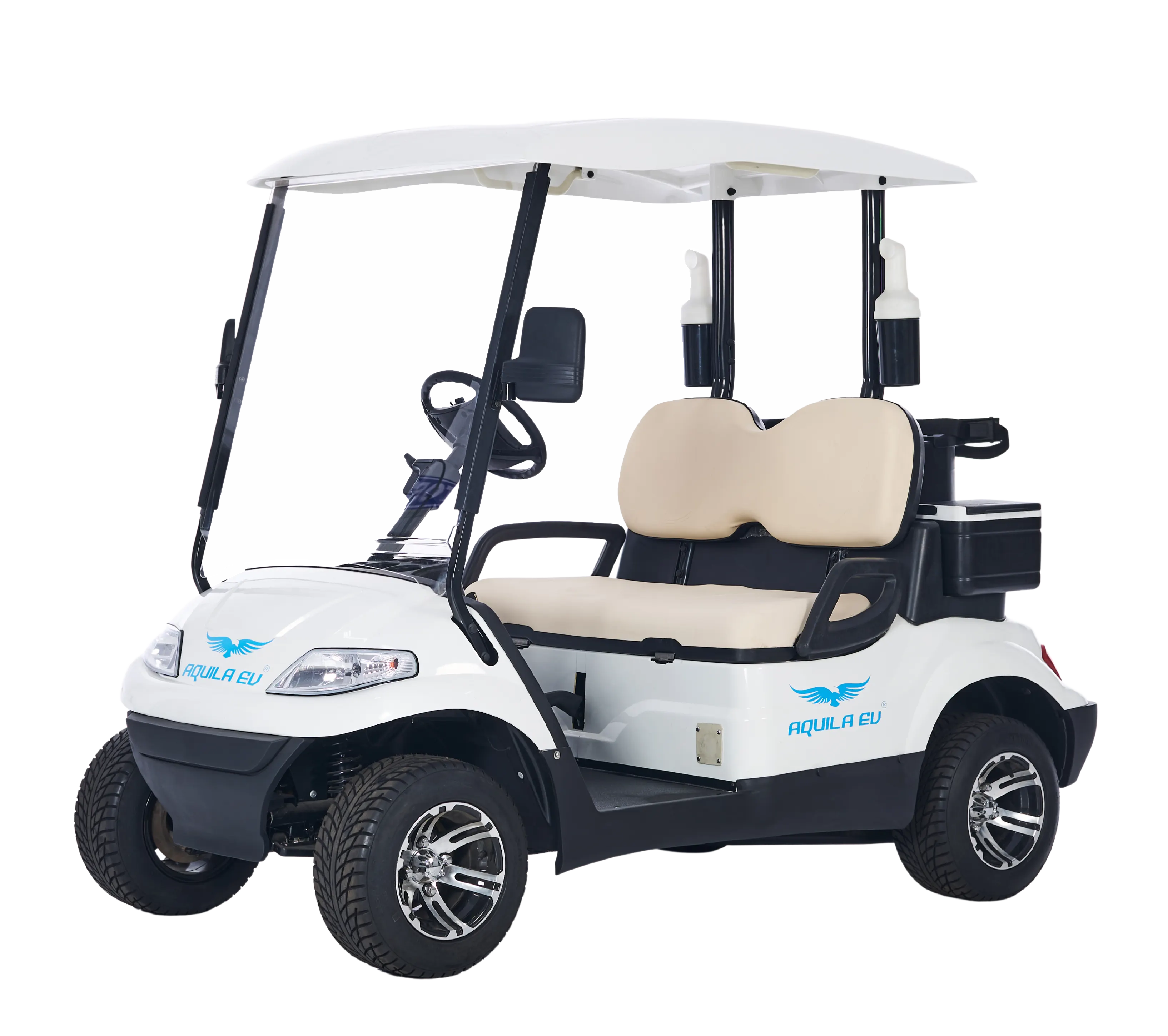2 seater electric golf cart - Tri Electric