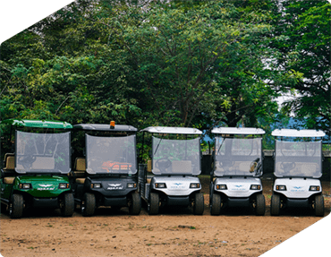 Four electric golf carts parked in a row on a dirt ground surrounded by trees, with two green carts on the edges and two white in the middle.