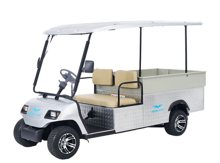 An electric utility golf cart with a 2-seater cabin and a cargo bed, displayed isolated on a white background.