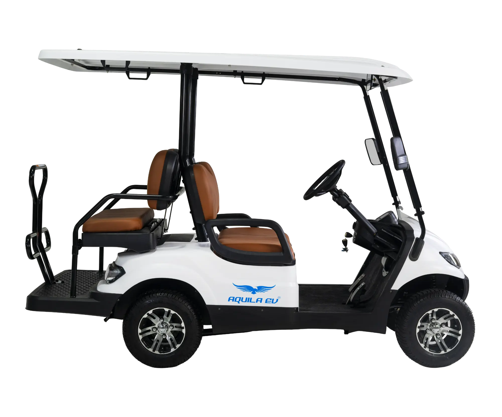 4 seater electric golf cart - Tri Electric