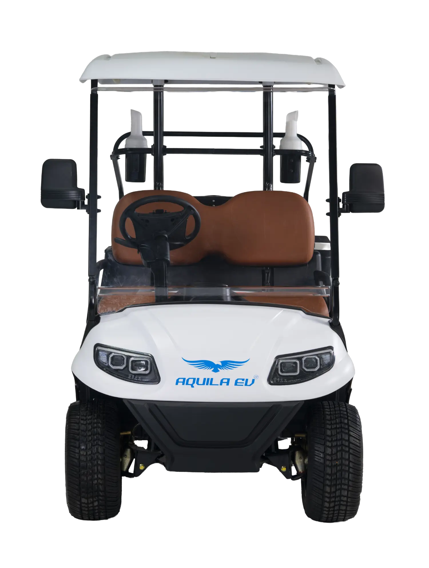 The image shows the back side of the TE-A2 electric golf cart.