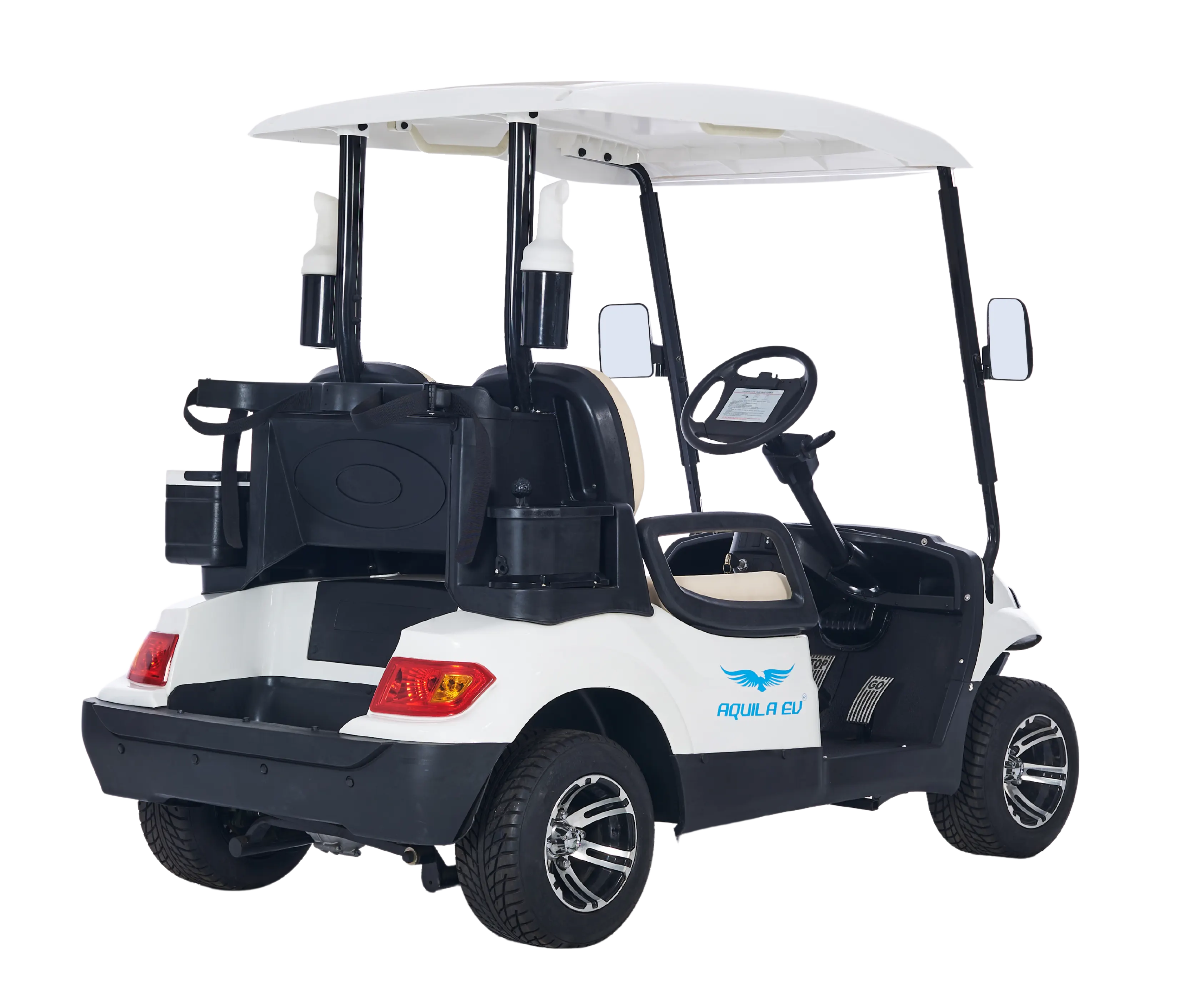 2 seater golf cart - Tri Electric